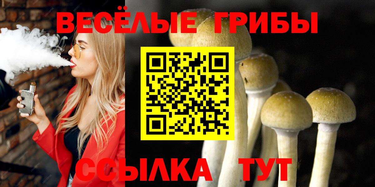 Псилоцибиновые грибы мицелий  как найти   Новороссийск  Вход с VPN 