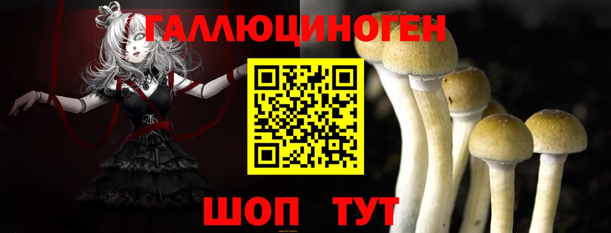 Псилоцибиновые грибы прущие грибы Новороссийск